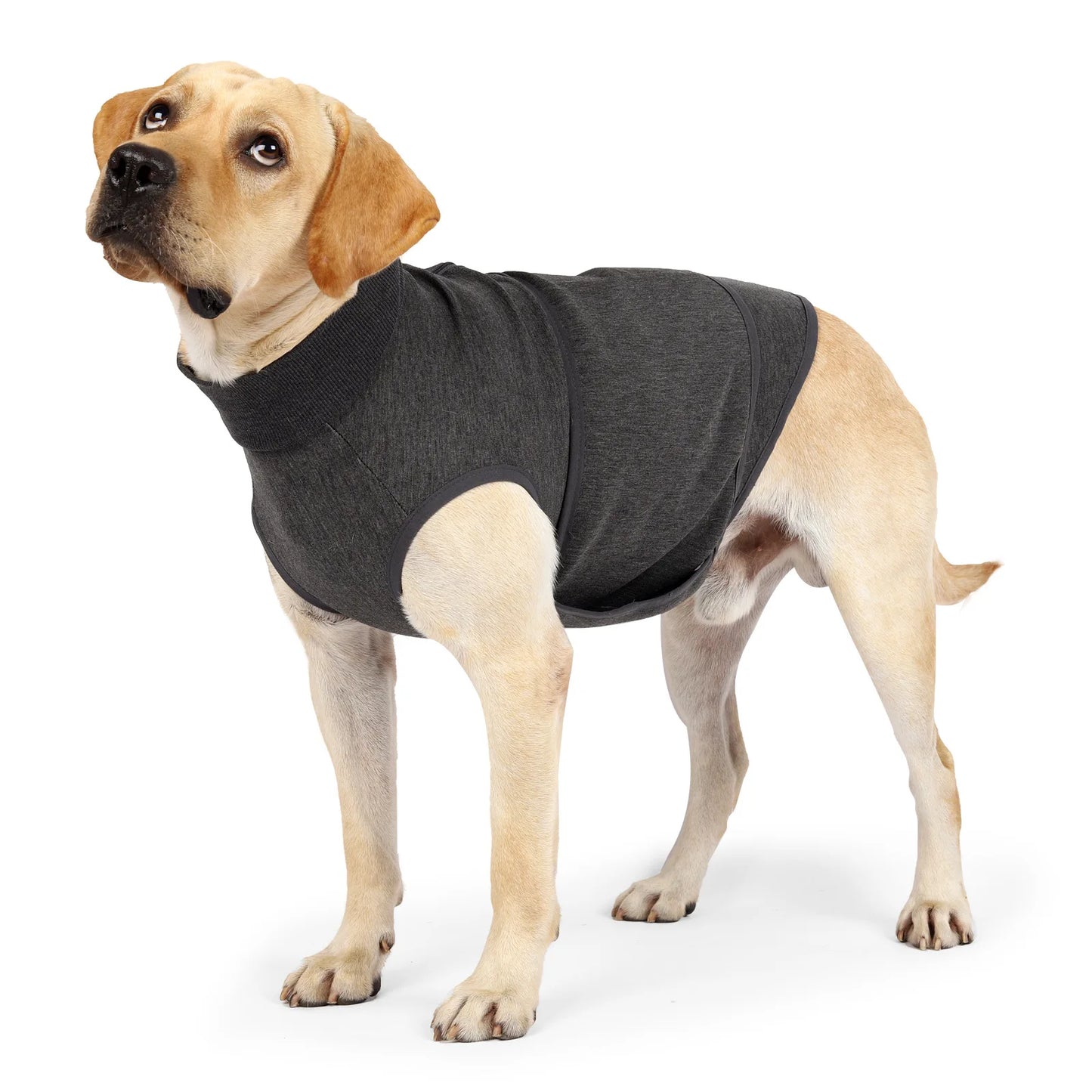 PawSure™ Calming Comfort Wrap